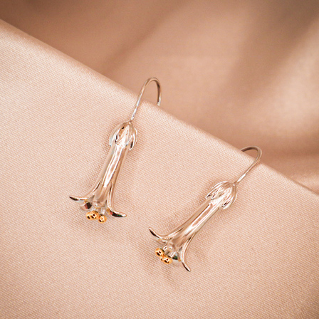 Sunlit Correa Sterling Silver Drop Earrings