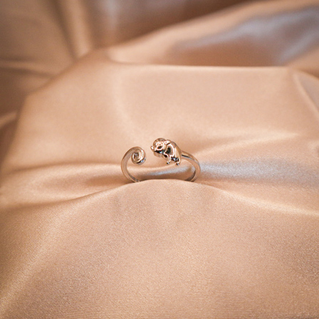 Pygmy Possum Sterling Silver Adjustable Ring