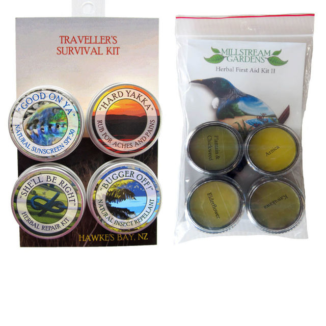Traveller's Survival Kit | First Aid Kits| Wildside Gifts
