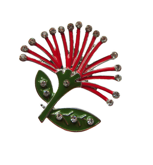 Enamel Brooches | Kiwiana | Designed in NZ| Wildside Gifts